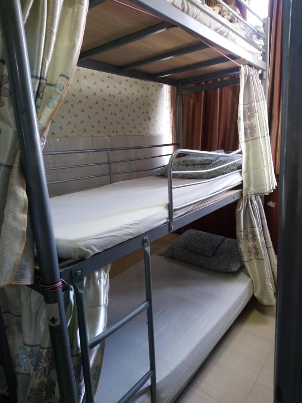 Guest house The Cultural Crashpad - 康乃馨旅館